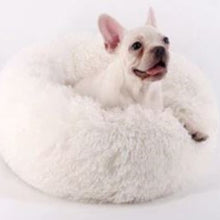 Lade das Bild in den Galerie-Viewer, COSY- Wellness Hundebett - Ergonomisches Wohlfühlen für Deinen Liebling - Stress reduzierend (60% Rabatt)