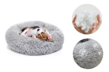 Lade das Bild in den Galerie-Viewer, COSY- Wellness Hundebett - Ergonomisches Wohlfühlen für Deinen Liebling - Stress reduzierend (60% Rabatt)