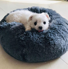 Lade das Bild in den Galerie-Viewer, COSY- Wellness Hundebett - Ergonomisches Wohlfühlen für Deinen Liebling - Stress reduzierend (60% Rabatt)