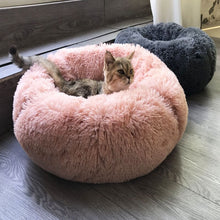 Lade das Bild in den Galerie-Viewer, COSY- Wellness Hundebett - Ergonomisches Wohlfühlen für Deinen Liebling - Stress reduzierend (60% Rabatt)